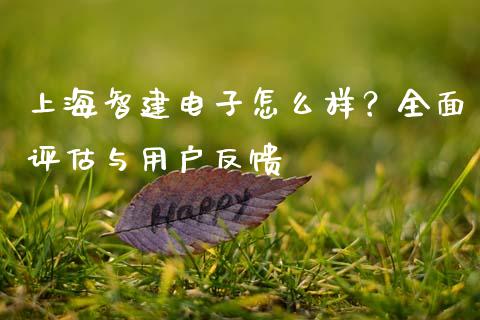 上海智建电子怎么样？全面评估与用户反馈_https://wap.qdlswl.com_全球经济_第1张
