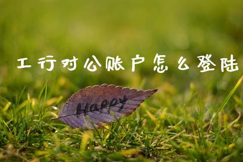 工行对公账户怎么登陆_https://wap.qdlswl.com_全球经济_第1张