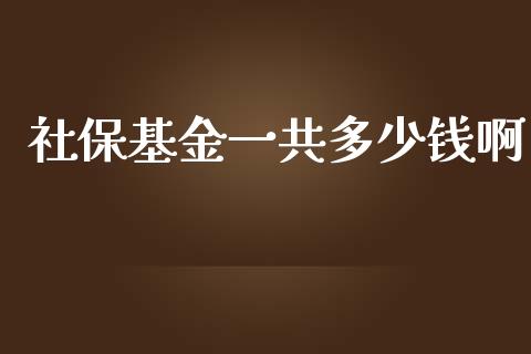 社保基金一共多少钱啊_https://wap.qdlswl.com_理财投资_第1张