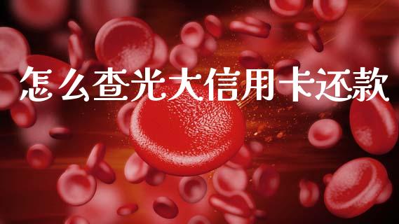 怎么查光大信用卡还款_https://wap.qdlswl.com_财经资讯_第1张