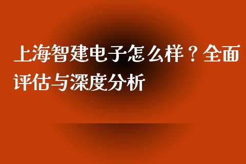 上海智建电子怎么样？全面评估与深度分析_https://wap.qdlswl.com_全球经济_第1张