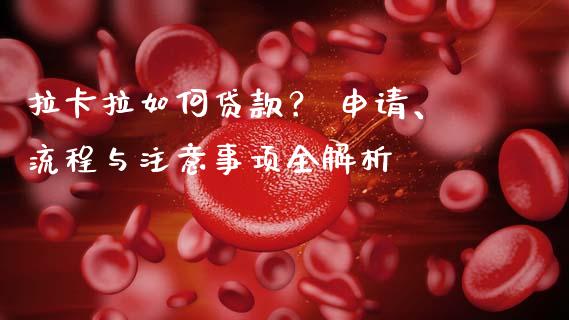拉卡拉如何贷款？ 申请、流程与注意事项全解析_https://wap.qdlswl.com_理财投资_第1张