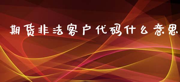 期货非法客户代码什么意思_https://wap.qdlswl.com_证券新闻_第1张