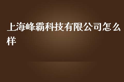 上海峰霸科技有限公司怎么样_https://wap.qdlswl.com_全球经济_第1张