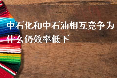 中石化和中石油相互竞争为什么仍效率低下_https://wap.qdlswl.com_理财投资_第1张