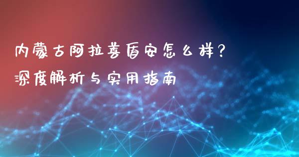 内蒙古阿拉善盾安怎么样？深度解析与实用指南_https://wap.qdlswl.com_全球经济_第1张