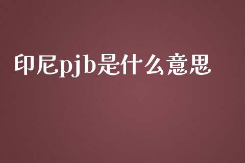 印尼pjb是什么意思_https://wap.qdlswl.com_证券新闻_第1张