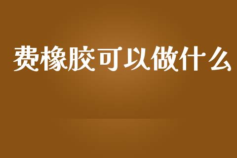 费橡胶可以做什么_https://wap.qdlswl.com_证券新闻_第1张