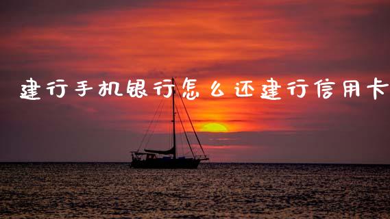 建行手机银行怎么还建行信用卡_https://wap.qdlswl.com_财经资讯_第1张
