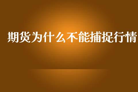 期货为什么不能捕捉行情_https://wap.qdlswl.com_证券新闻_第1张