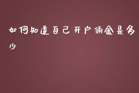 如何知道自己开户俑金是多少_https://wap.qdlswl.com_财经资讯_第1张