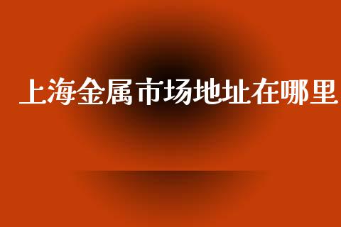 上海金属市场地址在哪里_https://wap.qdlswl.com_理财投资_第1张