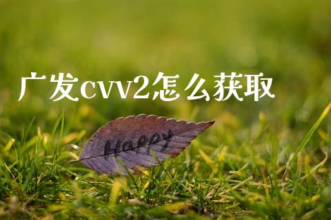 广发cvv2怎么获取_https://wap.qdlswl.com_理财投资_第1张