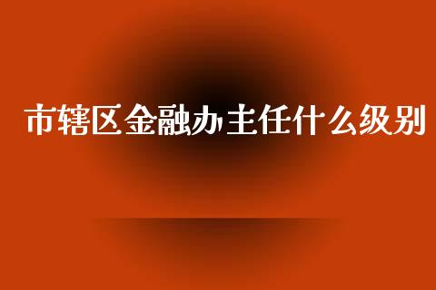 市辖区金融办主任什么级别_https://wap.qdlswl.com_证券新闻_第1张