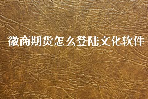 徽商期货怎么登陆文化软件_https://wap.qdlswl.com_理财投资_第1张