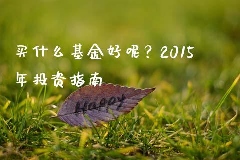 买什么基金好呢？2015年投资指南_https://wap.qdlswl.com_全球经济_第1张