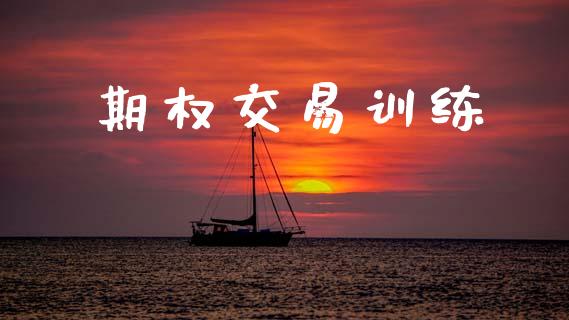 期权交易训练_https://wap.qdlswl.com_财经资讯_第1张
