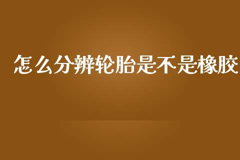 怎么分辨轮胎是不是橡胶_https://wap.qdlswl.com_证券新闻_第1张