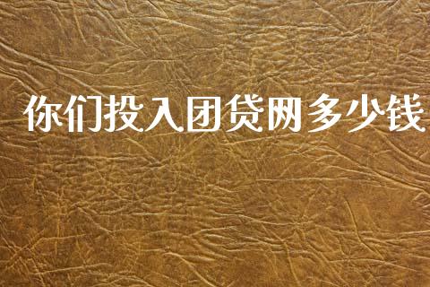 你们投入团贷网多少钱_https://wap.qdlswl.com_全球经济_第1张