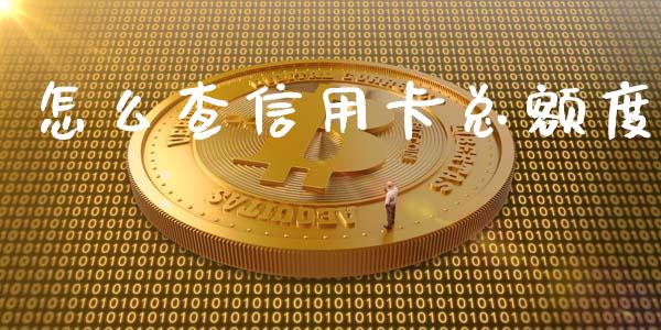 怎么查信用卡总额度_https://wap.qdlswl.com_财经资讯_第1张