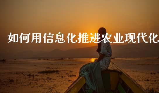 如何用信息化推进农业现代化_https://wap.qdlswl.com_理财投资_第1张