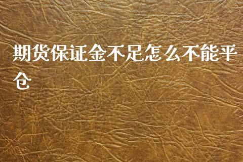 期货保证金不足怎么不能平仓_https://wap.qdlswl.com_理财投资_第1张