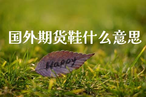 国外期货鞋什么意思_https://wap.qdlswl.com_理财投资_第1张