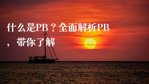 什么是PB？全面解析PB，带你了解_https://wap.qdlswl.com_证券新闻_第1张