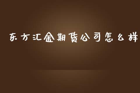 东方汇金期货公司怎么样_https://wap.qdlswl.com_全球经济_第1张