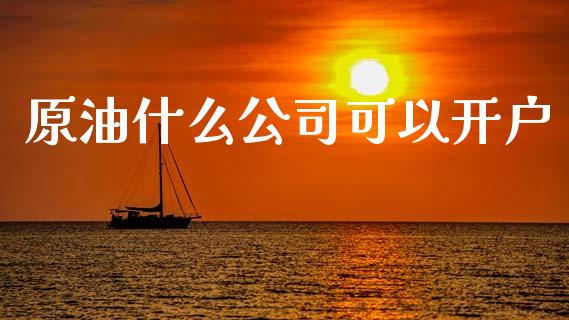 原油什么公司可以开户_https://wap.qdlswl.com_财经资讯_第1张