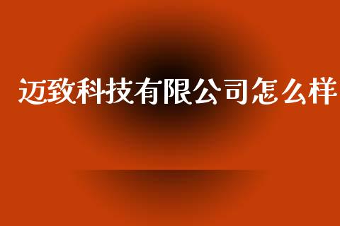 迈致科技有限公司怎么样_https://wap.qdlswl.com_财经资讯_第1张