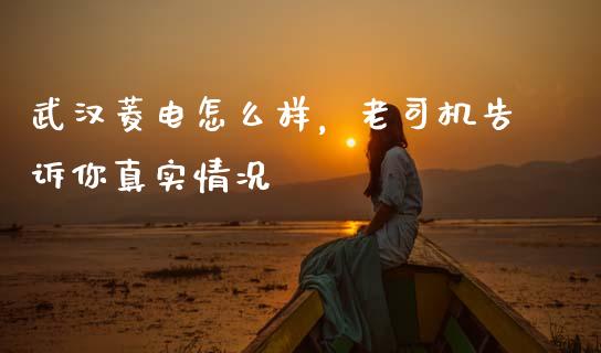 武汉菱电怎么样，老司机告诉你真实情况_https://wap.qdlswl.com_全球经济_第1张
