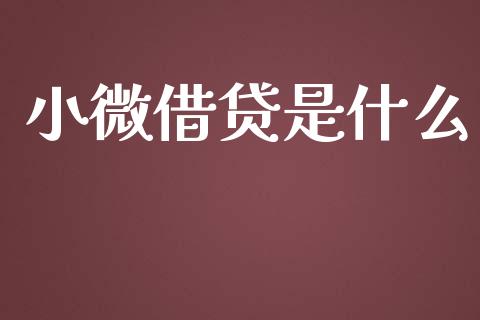 小微借贷是什么_https://wap.qdlswl.com_证券新闻_第1张