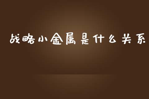 战略小金属是什么关系_https://wap.qdlswl.com_财经资讯_第1张