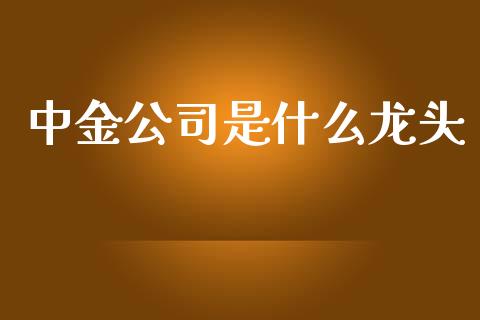 中金公司是什么龙头_https://wap.qdlswl.com_财经资讯_第1张