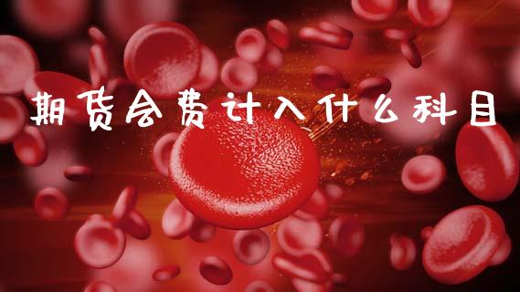 期货会费计入什么科目_https://wap.qdlswl.com_财经资讯_第1张