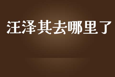 汪泽其去哪里了_https://wap.qdlswl.com_财经资讯_第1张