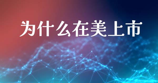 为什么在美上市_https://wap.qdlswl.com_财经资讯_第1张