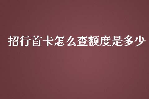 招行首卡怎么查额度是多少_https://wap.qdlswl.com_财经资讯_第1张