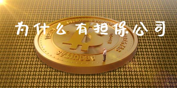 为什么有担保公司_https://wap.qdlswl.com_理财投资_第1张