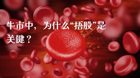 牛市中，为什么“捂股”是关键？_https://wap.qdlswl.com_理财投资_第1张