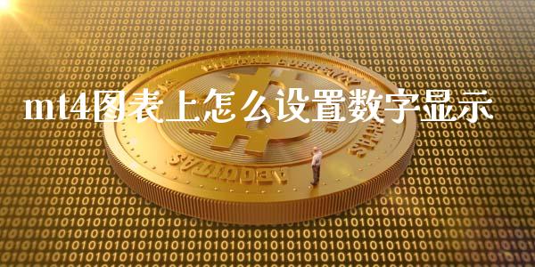 mt4图表上怎么设置数字显示_https://wap.qdlswl.com_财经资讯_第1张
