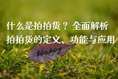 什么是拍拍货？ 全面解析拍拍货的定义、功能与应用_https://wap.qdlswl.com_财经资讯_第1张