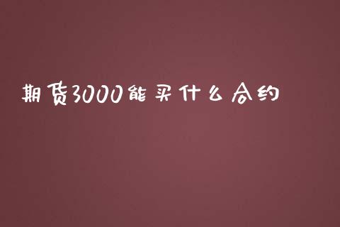 期货3000能买什么合约_https://wap.qdlswl.com_财经资讯_第1张