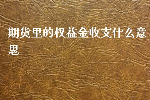 期货里的权益金收支什么意思_https://wap.qdlswl.com_全球经济_第1张