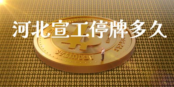 河北宣工停牌多久_https://wap.qdlswl.com_理财投资_第1张