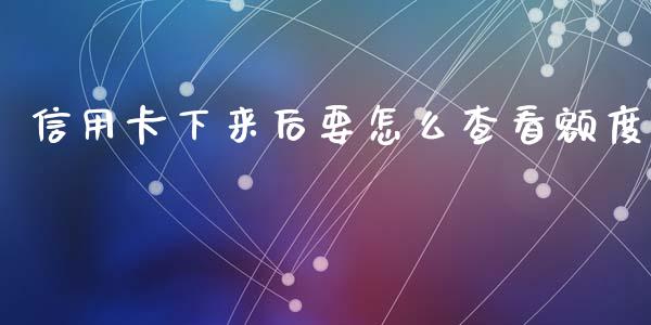 信用卡下来后要怎么查看额度_https://wap.qdlswl.com_财经资讯_第1张