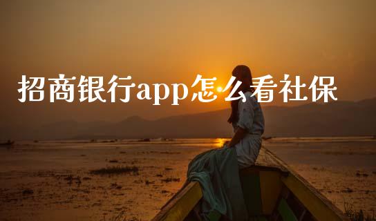 招商银行app怎么看社保_https://wap.qdlswl.com_全球经济_第1张