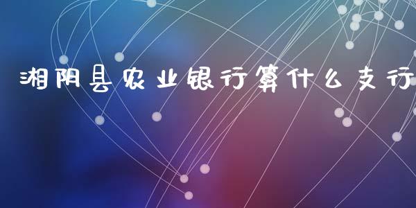 湘阴县农业银行算什么支行_https://wap.qdlswl.com_证券新闻_第1张