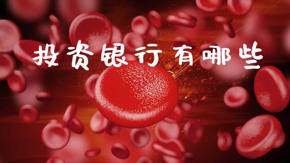 投资银行有哪些_https://wap.qdlswl.com_证券新闻_第1张